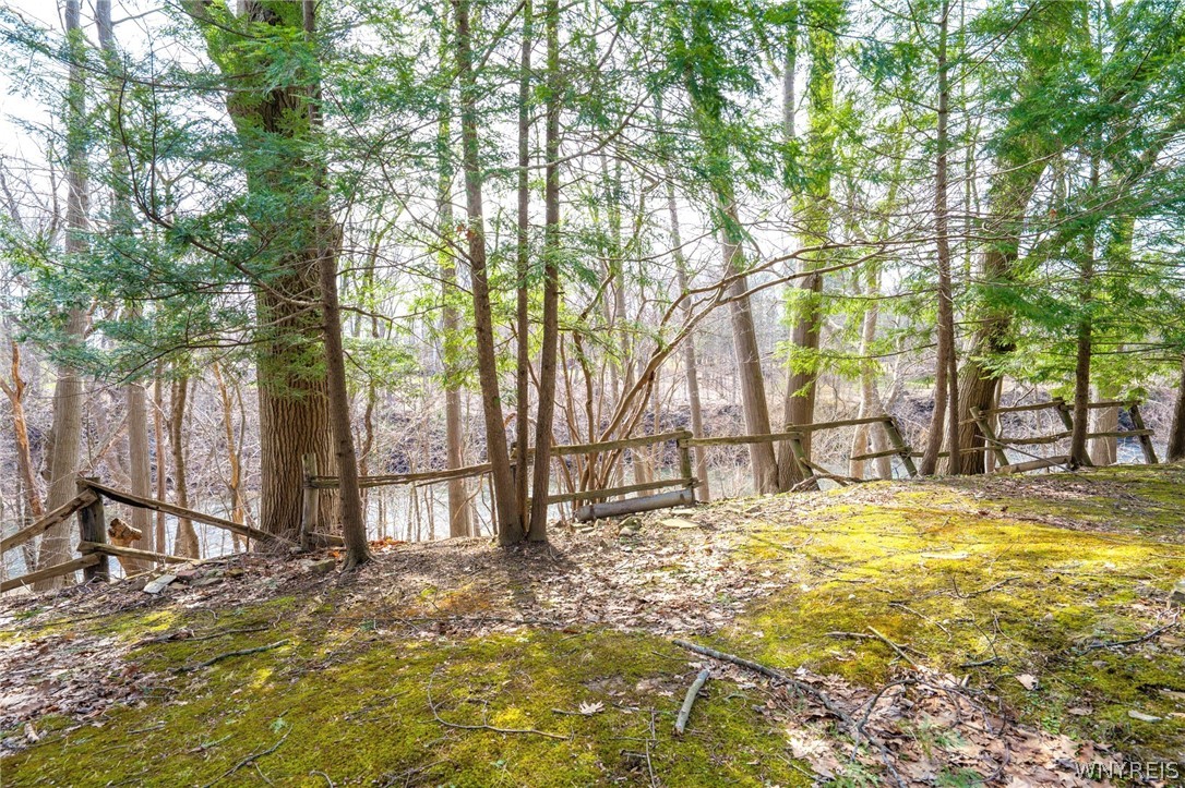 3373 Old Lakeview Road Hamburg, NY 14075 - Photo 30 of 40