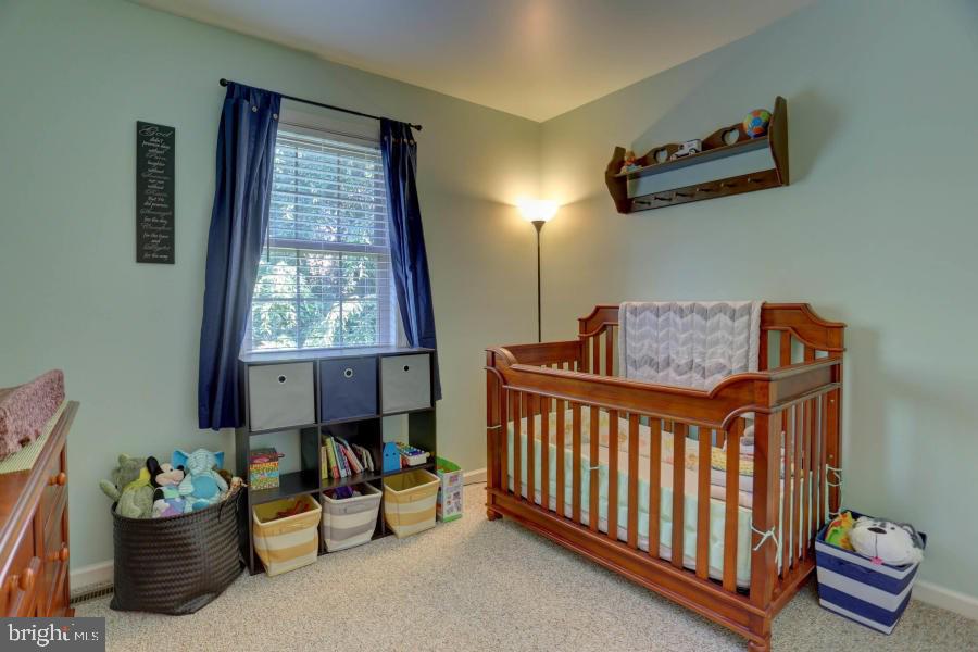 17 Tupelo Street Lititz, PA 17543 - Photo 16 of 25