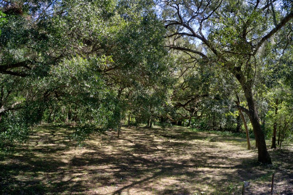 5005 Southwest 63rd Boulevard Gainesville, FL 32608 - Photo 6 of 11 a view of outdoor space with trees all around
