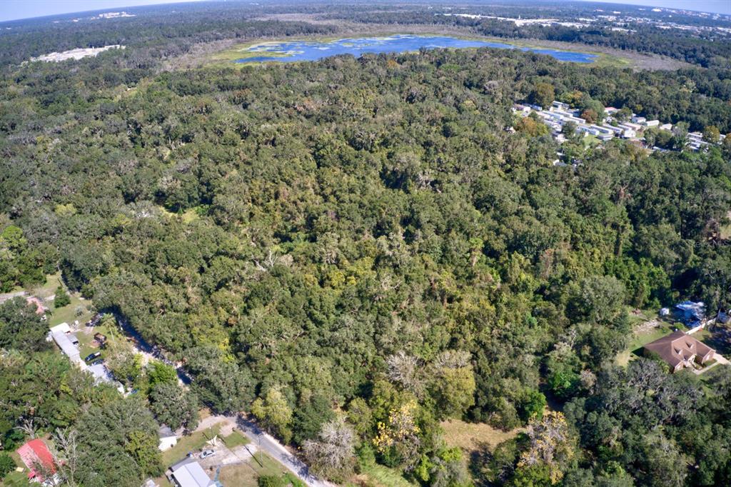 5005 Southwest 63rd Boulevard Gainesville, FL 32608 - Photo 8 of 11 a view of a forest with a street
