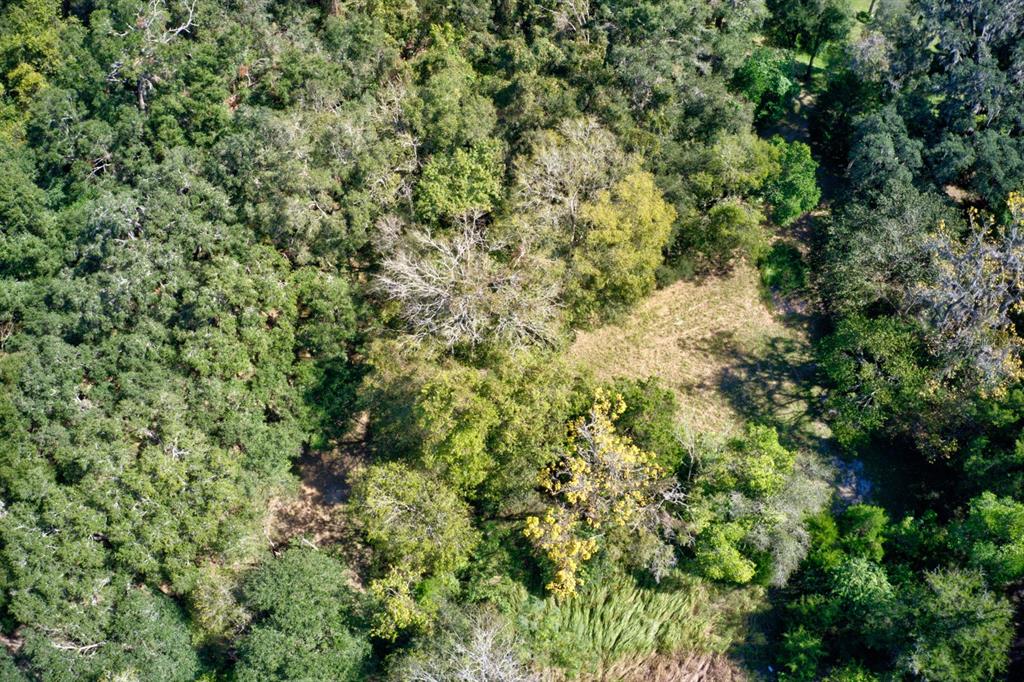 5005 Southwest 63rd Boulevard Gainesville, FL 32608 - Photo 10 of 11 view of a lush green forest