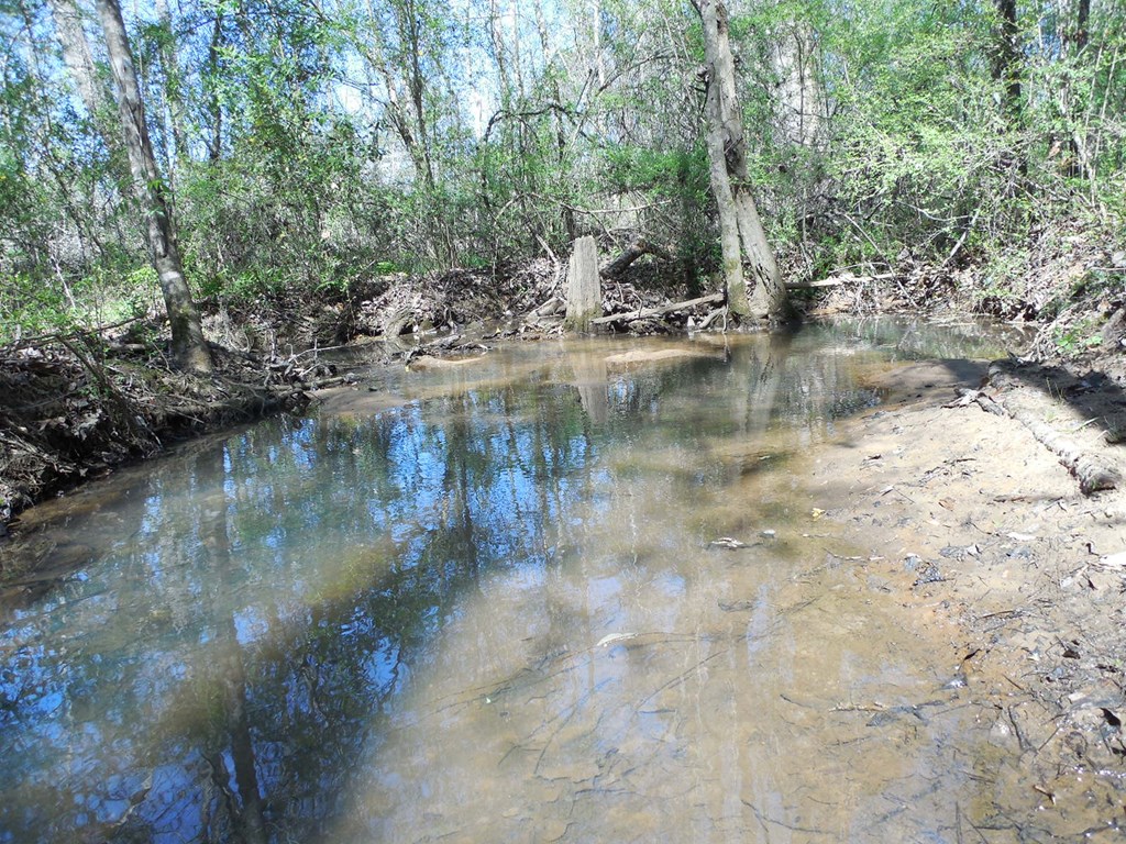 7.1-acres Cobb Road Dothan, AL 36301 - Photo 26 of 55