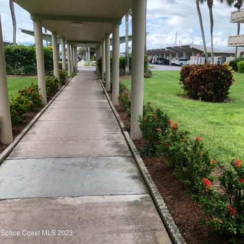 a view of a garden with pathway