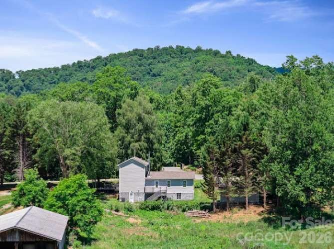 308 Browntown Road Leicester, NC 28748 - Photo 25 of 25