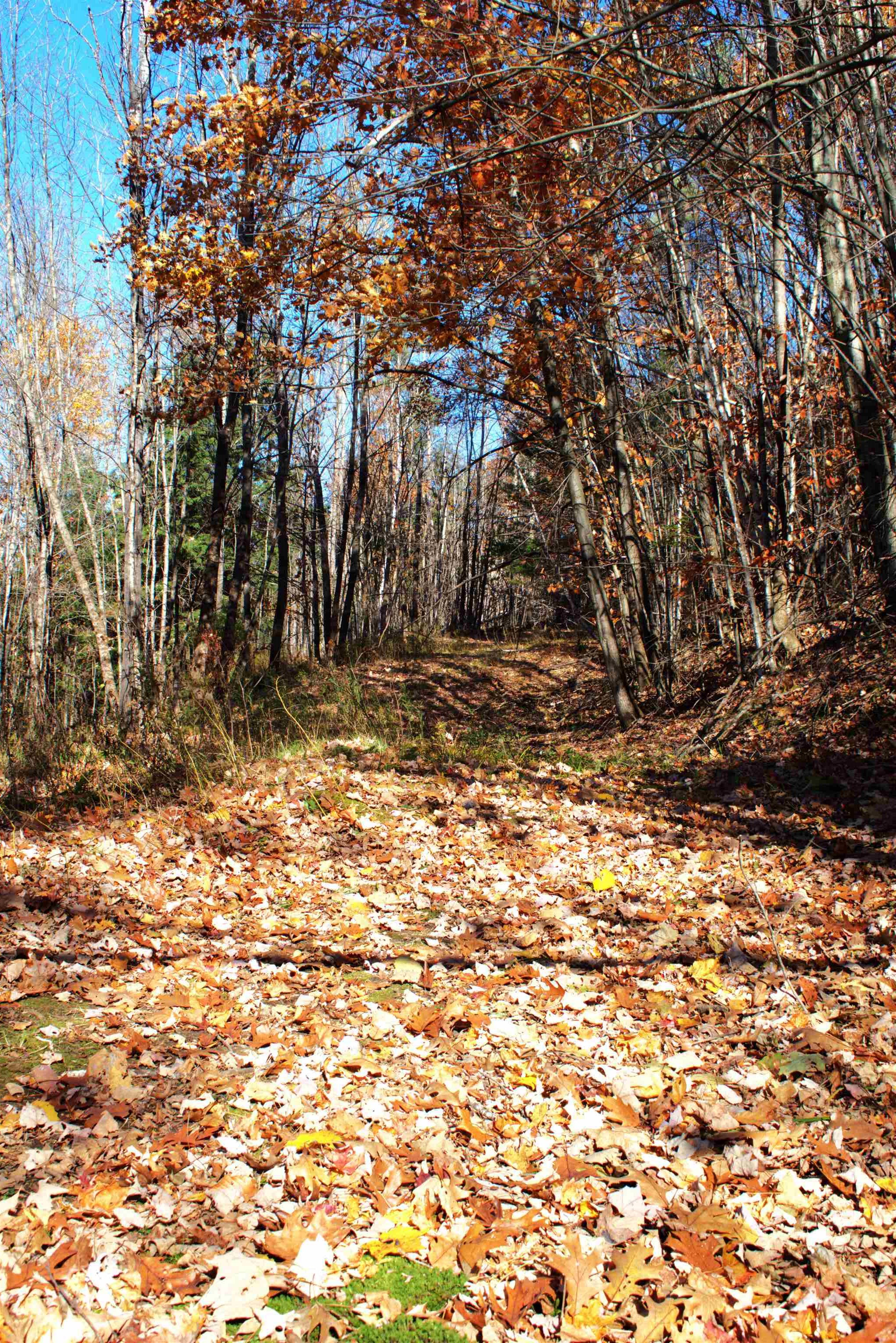 2946 Spaulding Road St. Johnsbury, VT 05819 - Photo 56 of 59 Gallery Image 56