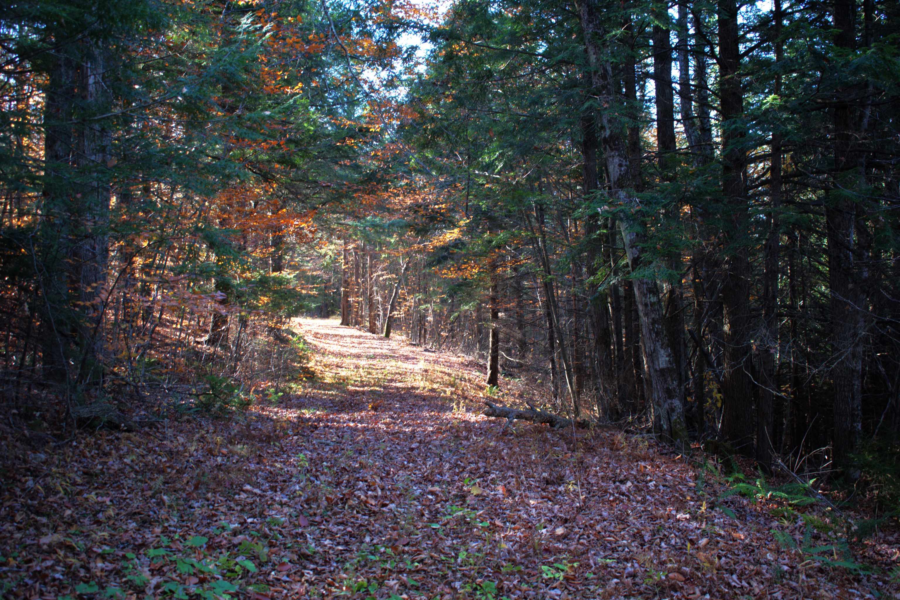 2946 Spaulding Road St. Johnsbury, VT 05819 - Photo 57 of 59 Gallery Image 57