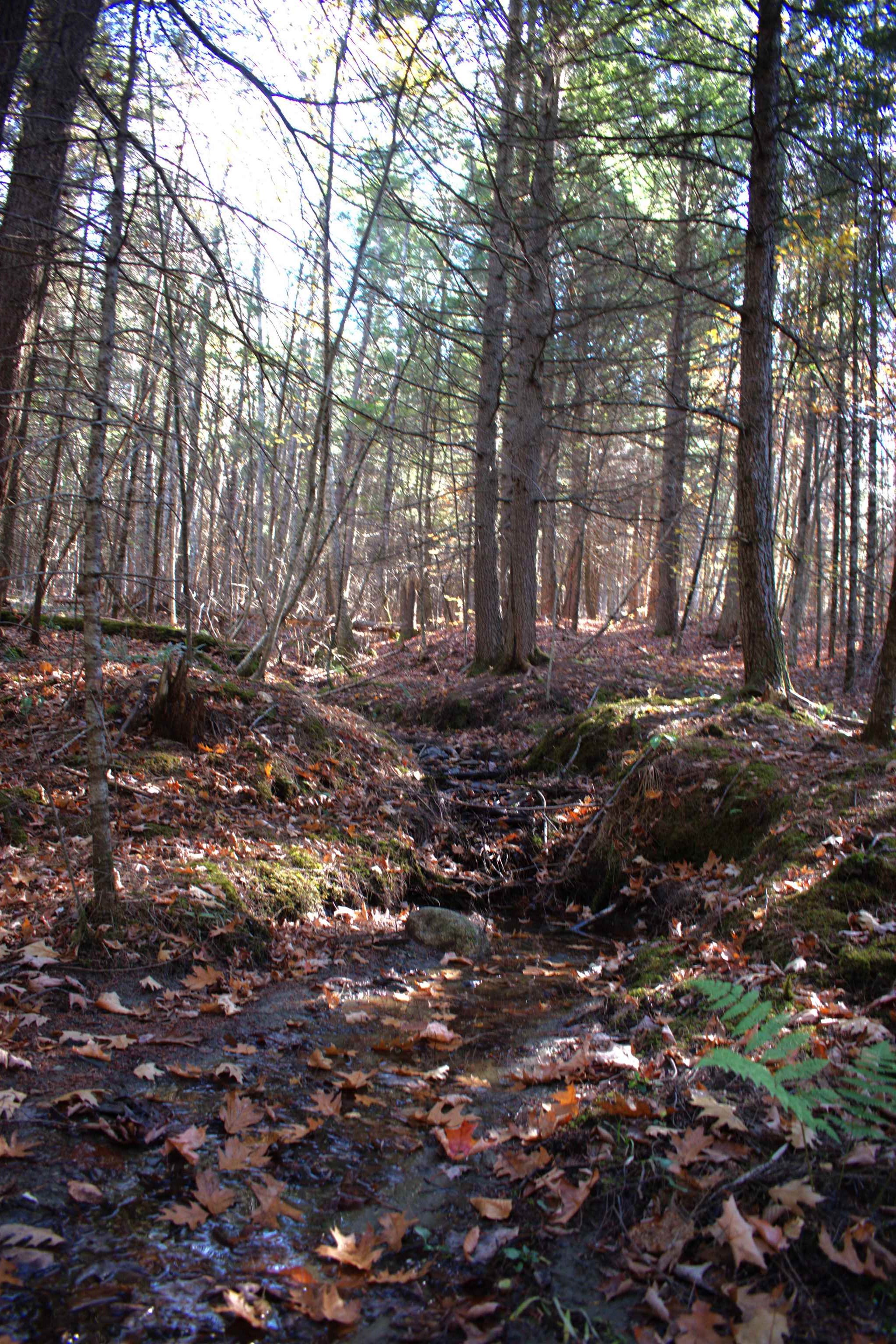 2946 Spaulding Road St. Johnsbury, VT 05819 - Photo 58 of 59 Gallery Image 58