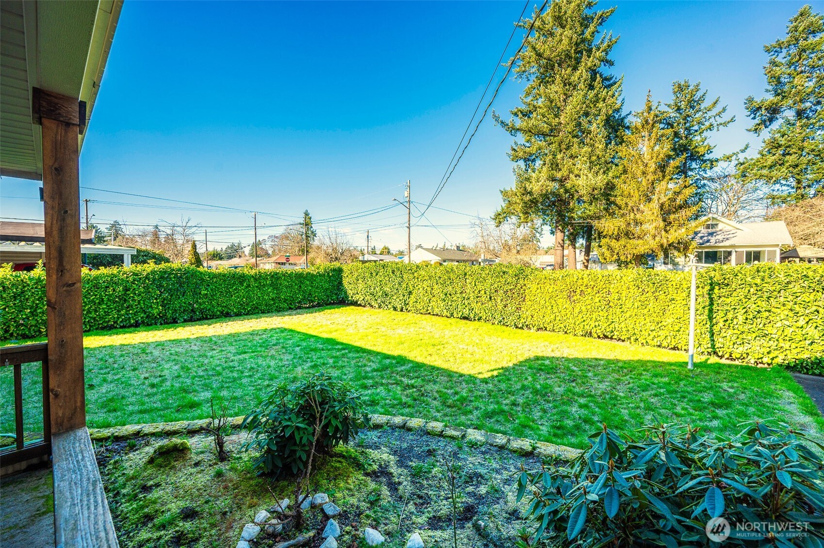 9116 121st Street Southwest Lakewood, WA 98498 - Photo 22 of 24 a view of a backyard with large trees