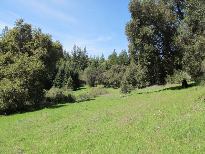 0 Two Two Bar Road Boulder Creek, CA 95006 - Photo 1 of 70