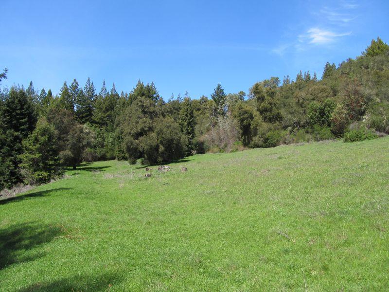 0 Two Two Bar Road Boulder Creek, CA 95006 - Photo 14 of 70 a view of a grassy field with trees in the background