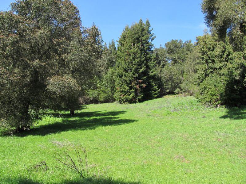 0 Two Two Bar Road Boulder Creek, CA 95006 - Photo 18 of 70 a view of yard with green space