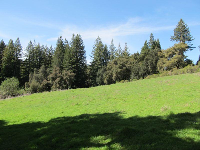 0 Two Two Bar Road Boulder Creek, CA 95006 - Photo 19 of 70 a view of a field with a tree in it