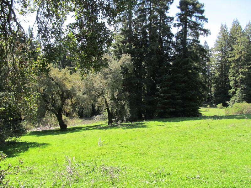 0 Two Two Bar Road Boulder Creek, CA 95006 - Photo 22 of 70 a view of green field