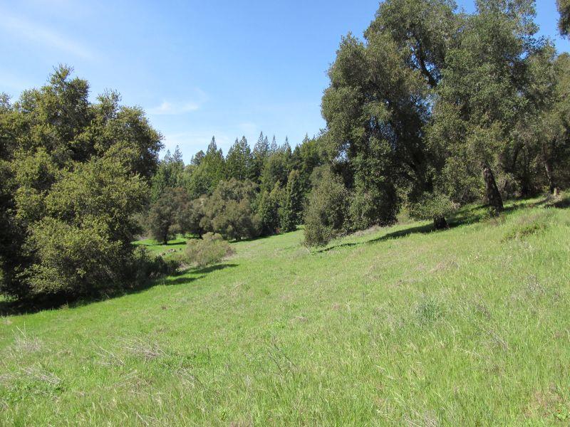 0 Two Two Bar Road Boulder Creek, CA 95006 - Photo 29 of 70