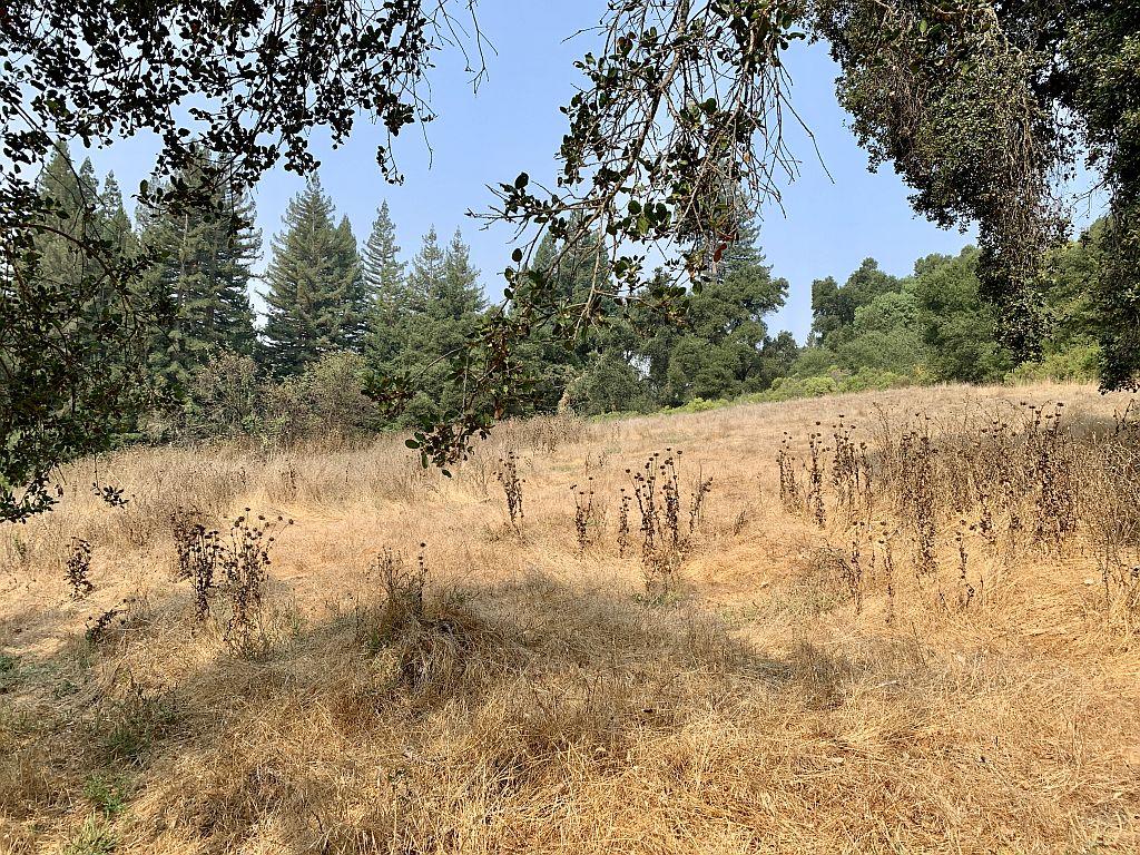 0 Two Two Bar Road Boulder Creek, CA 95006 - Photo 32 of 70