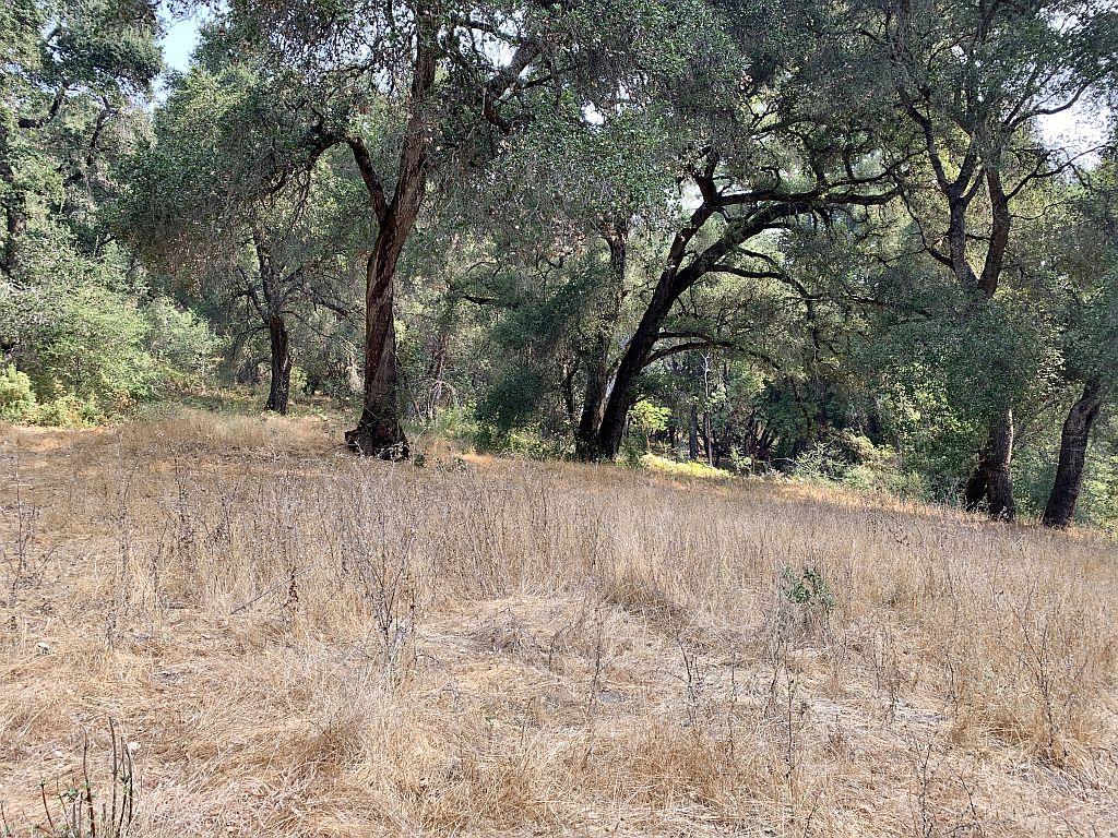 0 Two Two Bar Road Boulder Creek, CA 95006 - Photo 33 of 70 a view of outdoor space and yard