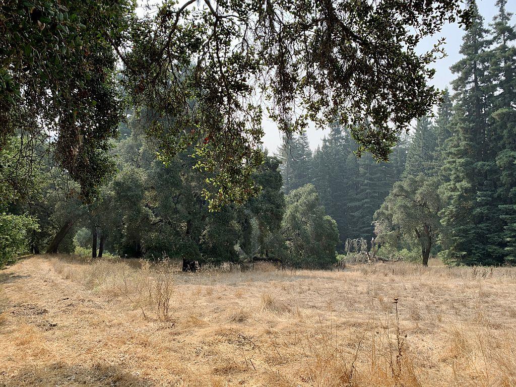 0 Two Two Bar Road Boulder Creek, CA 95006 - Photo 38 of 70