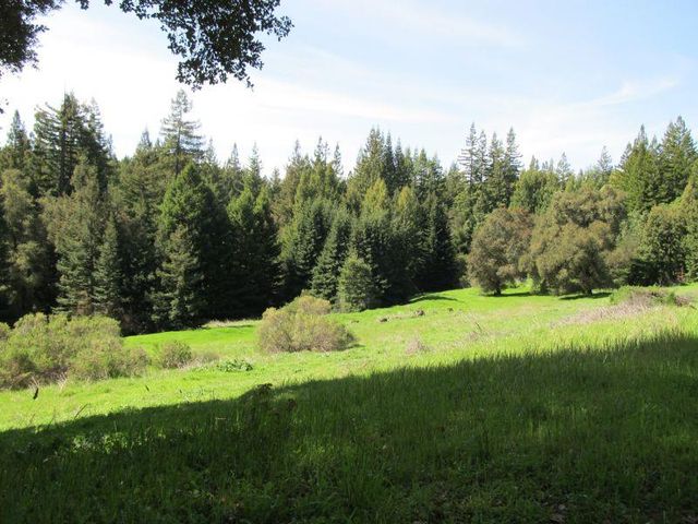 a view of a field with a tree in the background