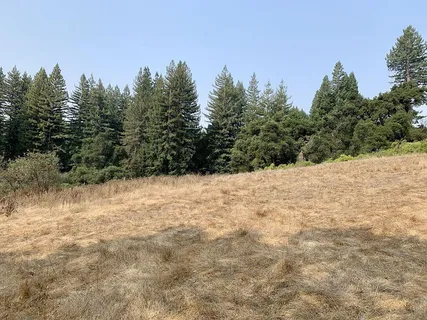 a view of backyard with green space