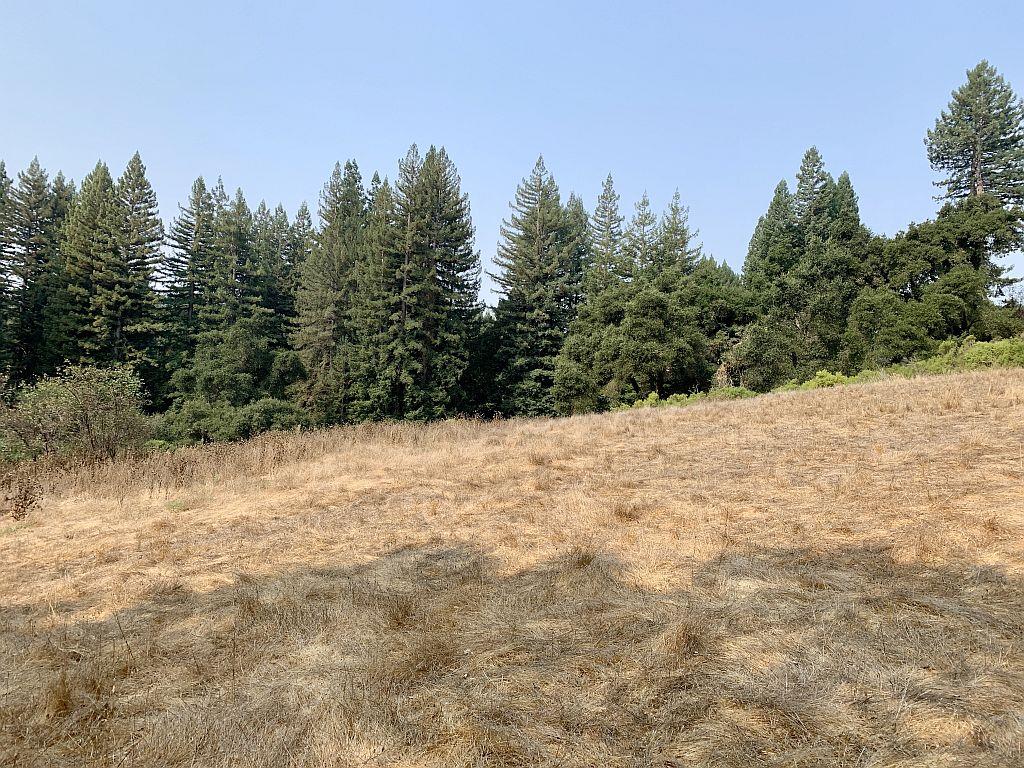 0 Two Two Bar Road Boulder Creek, CA 95006 - Photo 42 of 70