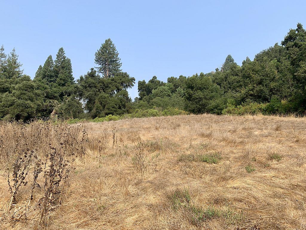 0 Two Two Bar Road Boulder Creek, CA 95006 - Photo 43 of 70