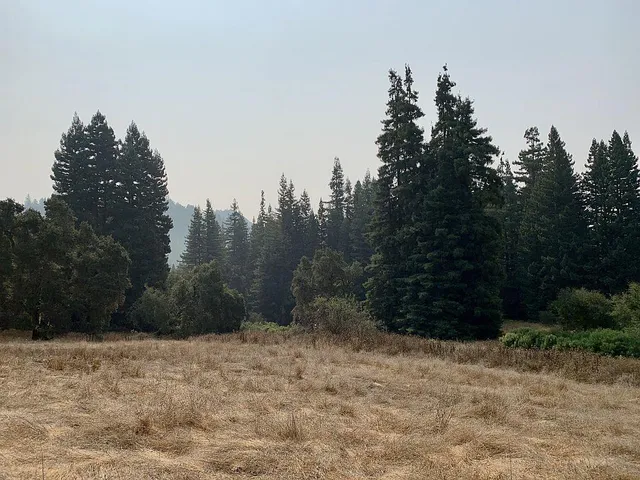 a view of a lake with mountain in the background