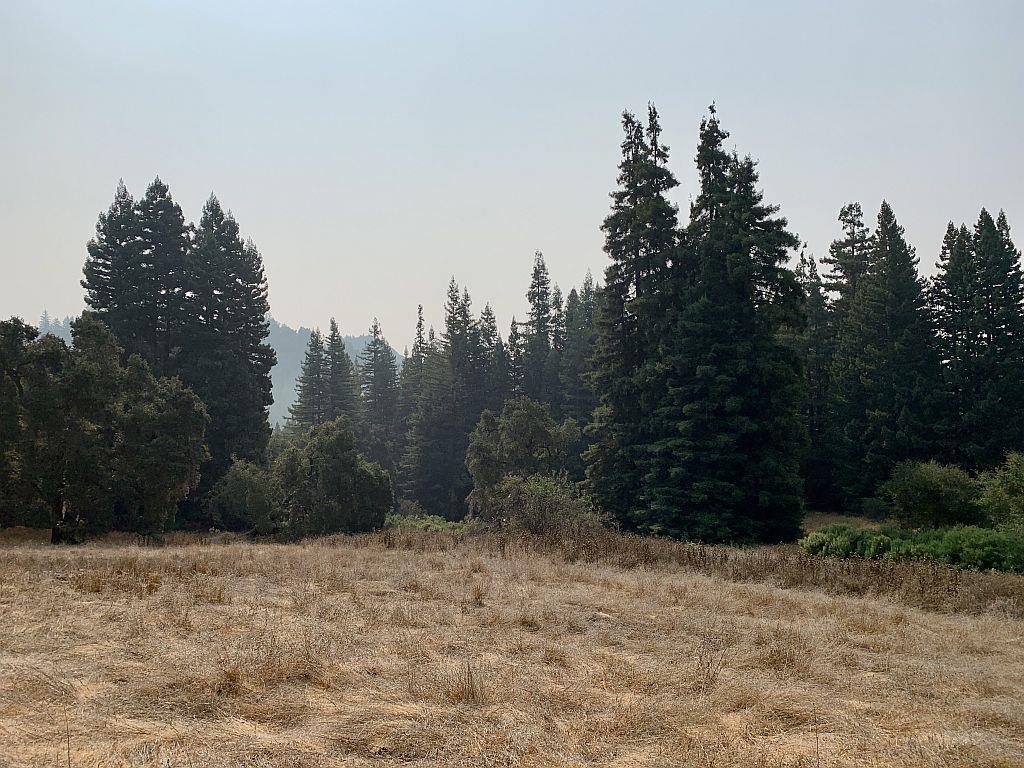 0 Two Two Bar Road Boulder Creek, CA 95006 - Photo 45 of 70 a view of a yard