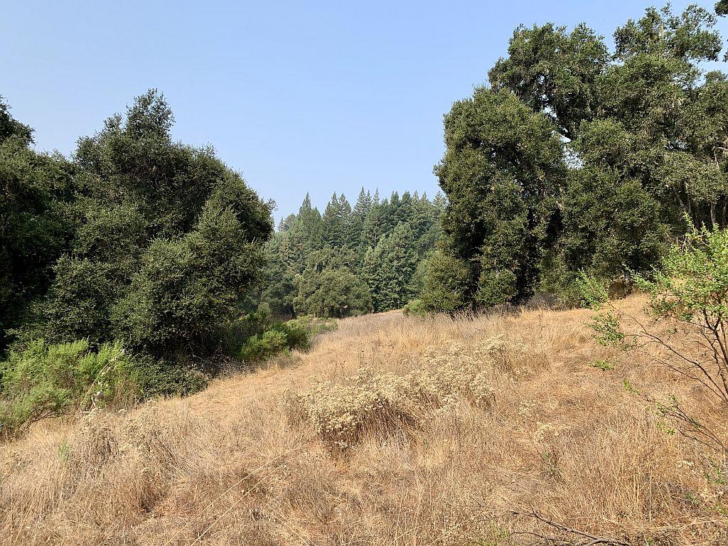 0 Two Two Bar Road Boulder Creek, CA 95006 - Photo 48 of 70