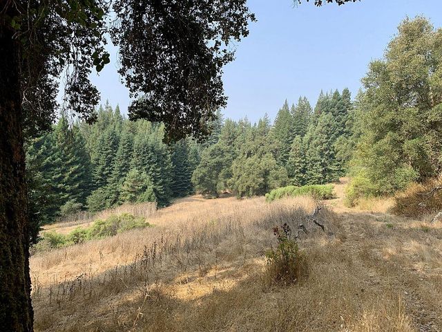 a view of a yard covered in snow