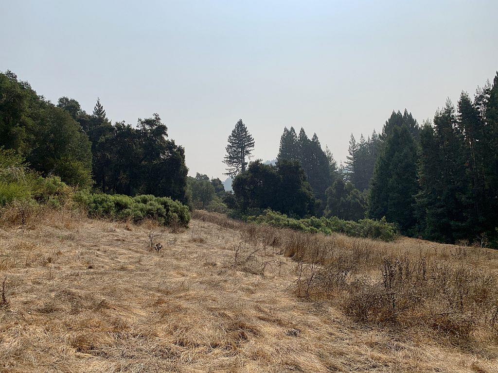 0 Two Two Bar Road Boulder Creek, CA 95006 - Photo 57 of 70 a view of a dirt road with trees in the background