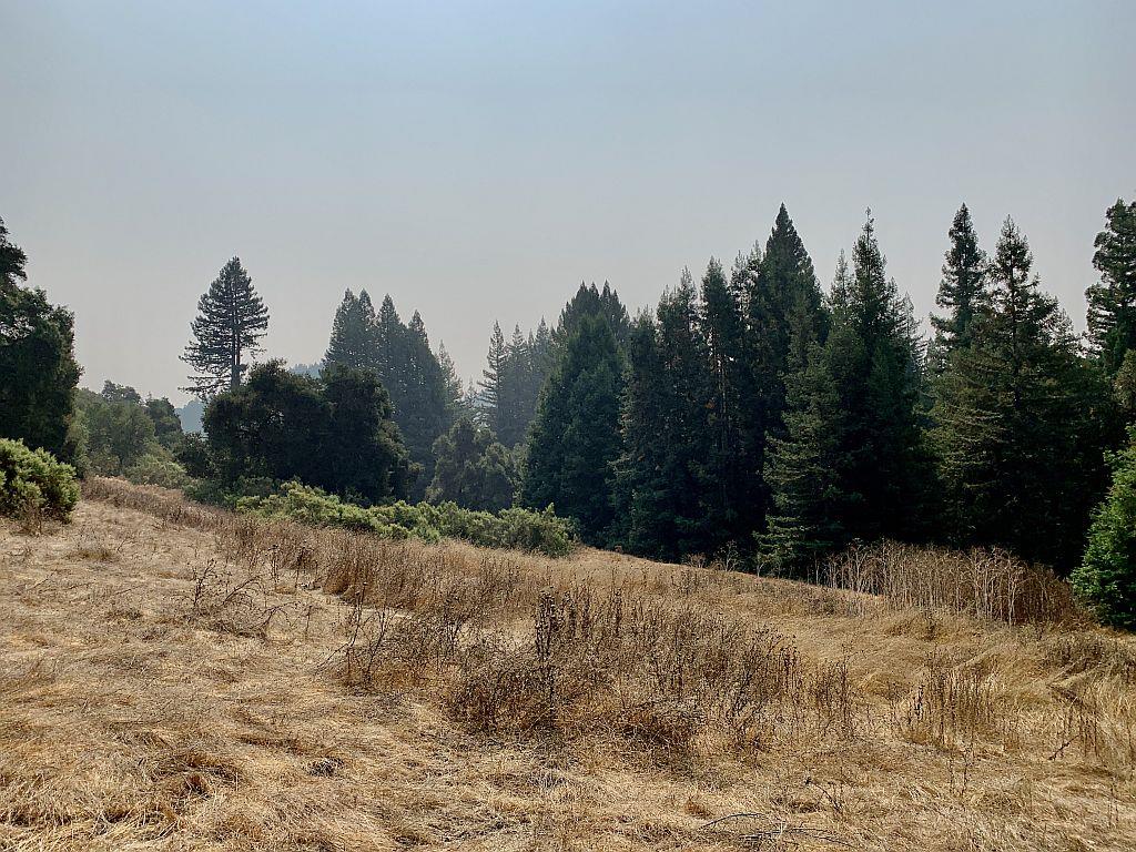 0 Two Two Bar Road Boulder Creek, CA 95006 - Photo 58 of 70 a view of a snow covered with snow in the background