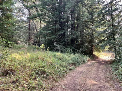 $1,500,000 | 0 Two Two Bar Road, Boulder Creek, CA 95006