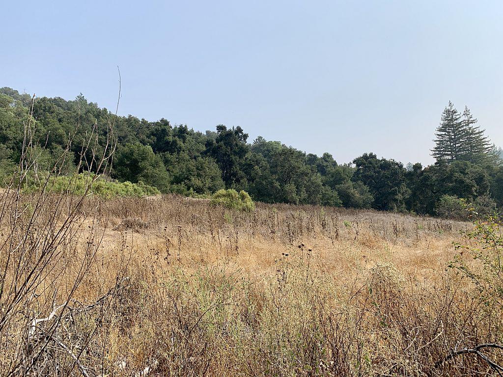 0 Two Two Bar Road Boulder Creek, CA 95006 - Photo 63 of 70 a view of a forest with trees in the background
