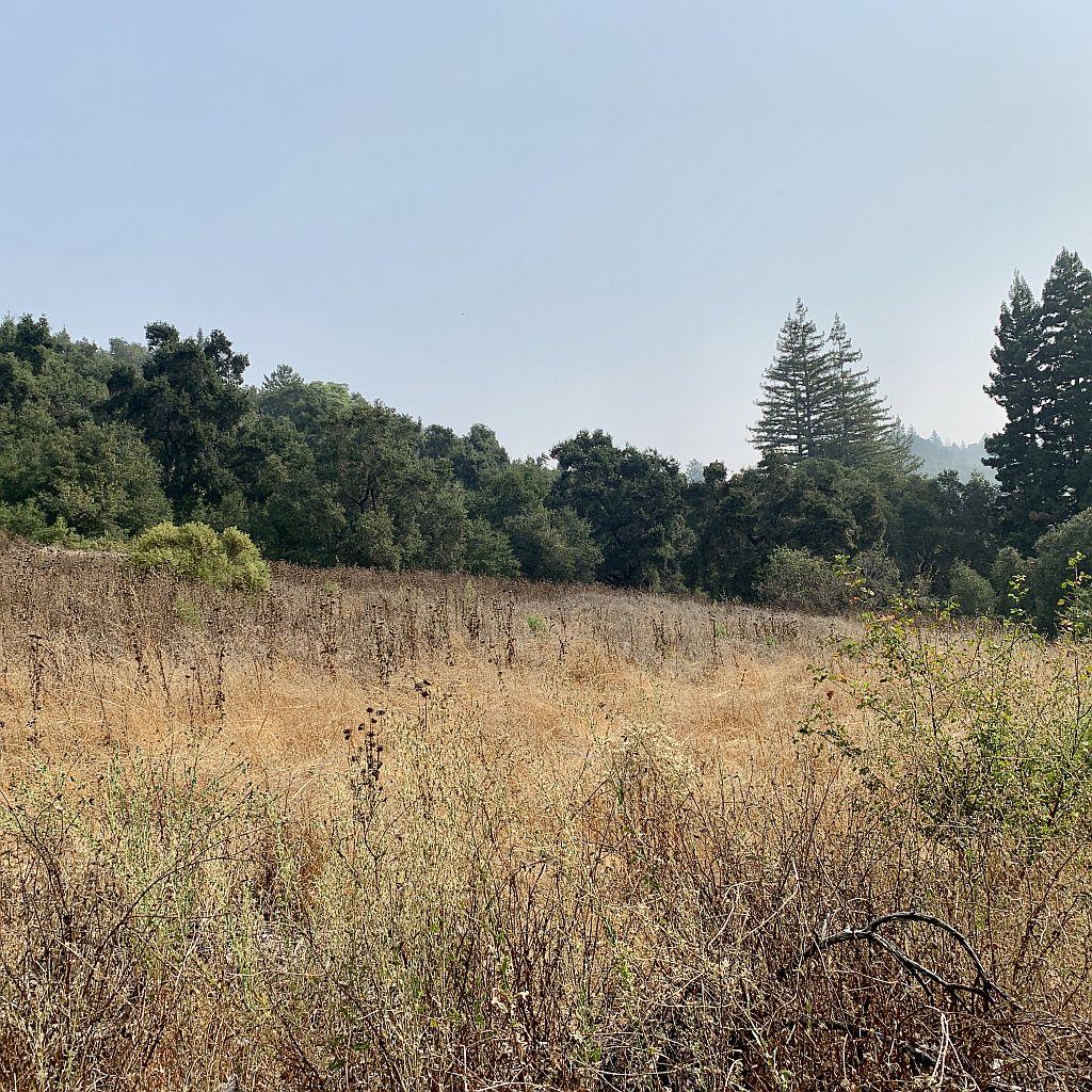 0 Two Two Bar Road Boulder Creek, CA 95006 - Photo 65 of 70