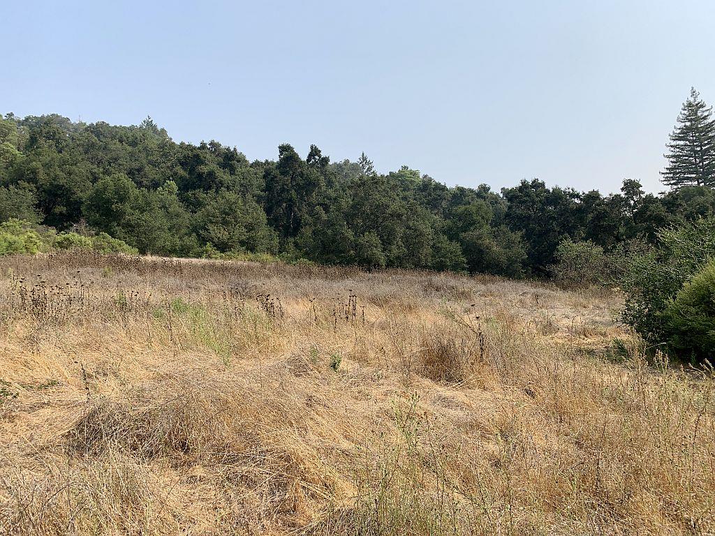 0 Two Two Bar Road Boulder Creek, CA 95006 - Photo 66 of 70 a view of a dry yard with trees in the background