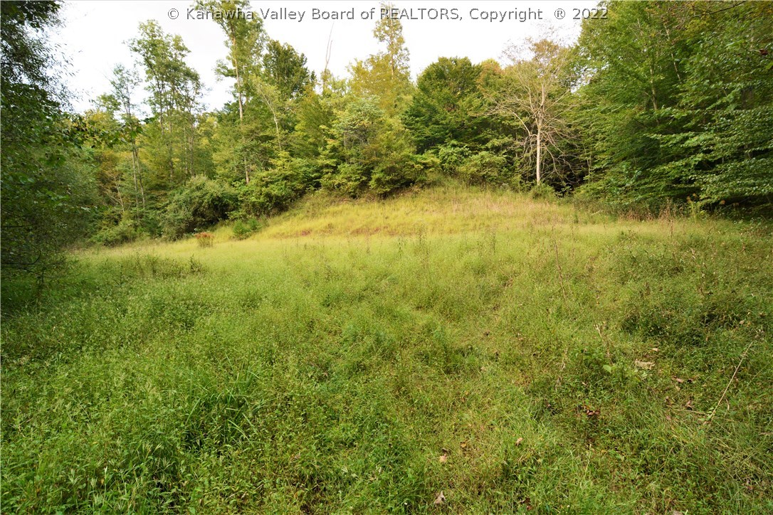 0 Fairview Road Fraziers Bottom, WV 25082 - Photo 2 of 11 Gallery Image 2