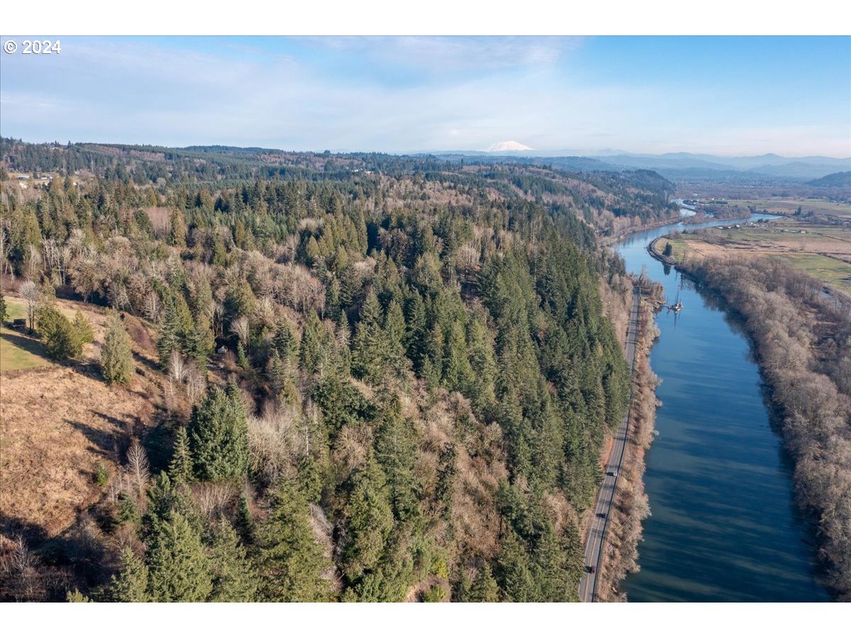 145 Newt Estates Road Longview, WA 98632 - Photo 11 of 27