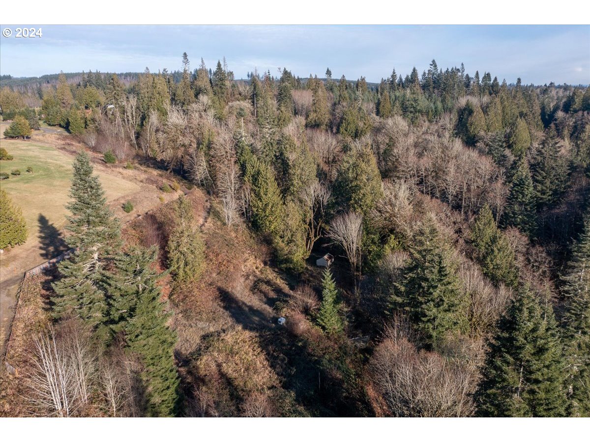 145 Newt Estates Road Longview, WA 98632 - Photo 17 of 27