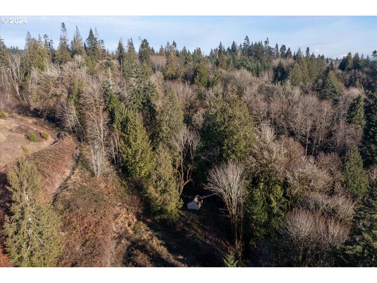 145 Newt Estates Road Longview, WA 98632 - Photo 18 of 27