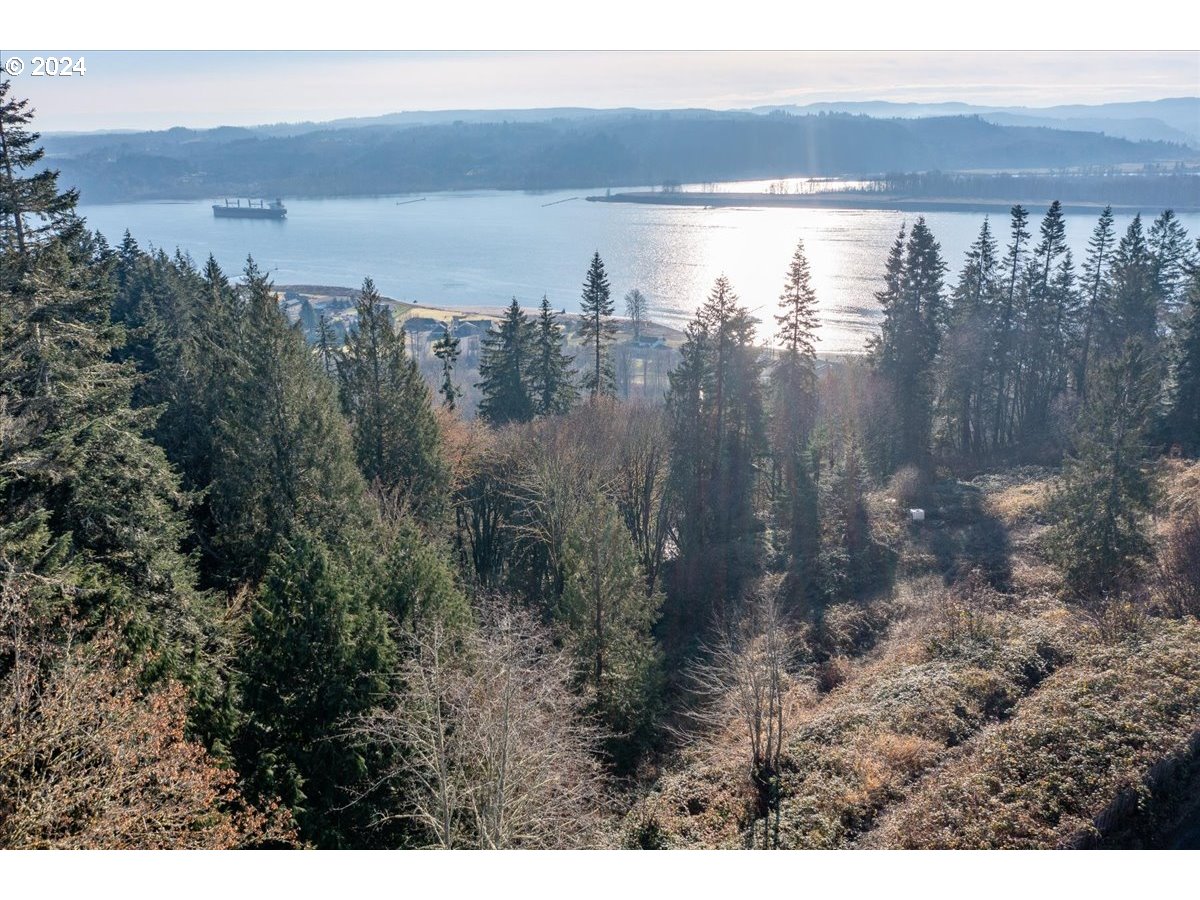 145 Newt Estates Road Longview, WA 98632 - Photo 19 of 27