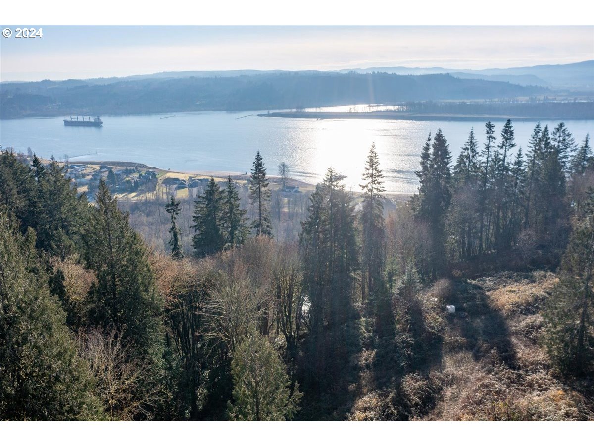 145 Newt Estates Road Longview, WA 98632 - Photo 20 of 27