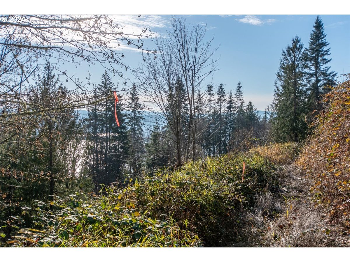 145 Newt Estates Road Longview, WA 98632 - Photo 21 of 27