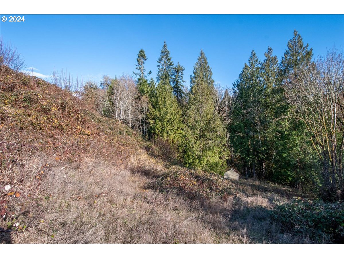 145 Newt Estates Road Longview, WA 98632 - Photo 23 of 27