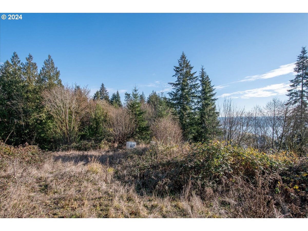 145 Newt Estates Road Longview, WA 98632 - Photo 24 of 27