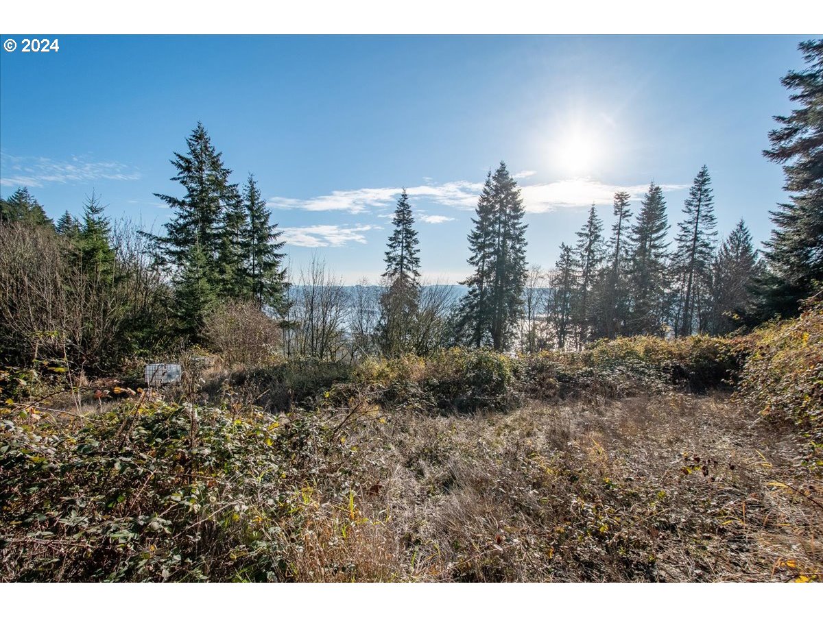 145 Newt Estates Road Longview, WA 98632 - Photo 25 of 27