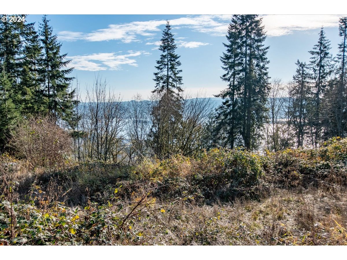 145 Newt Estates Road Longview, WA 98632 - Photo 26 of 27