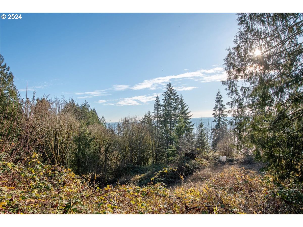 145 Newt Estates Road Longview, WA 98632 - Photo 27 of 27