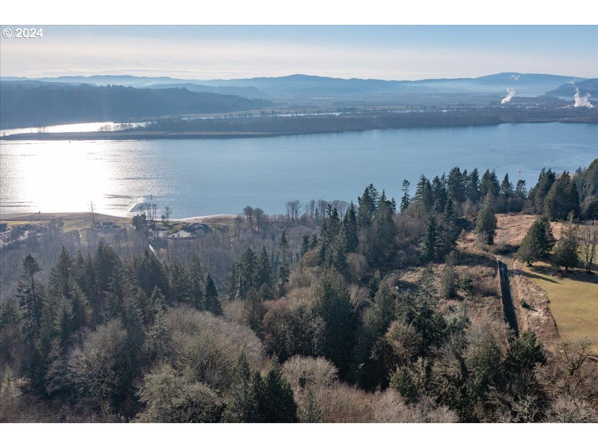 145 Newt Estates Road Longview, WA 98632 - Photo 3 of 27