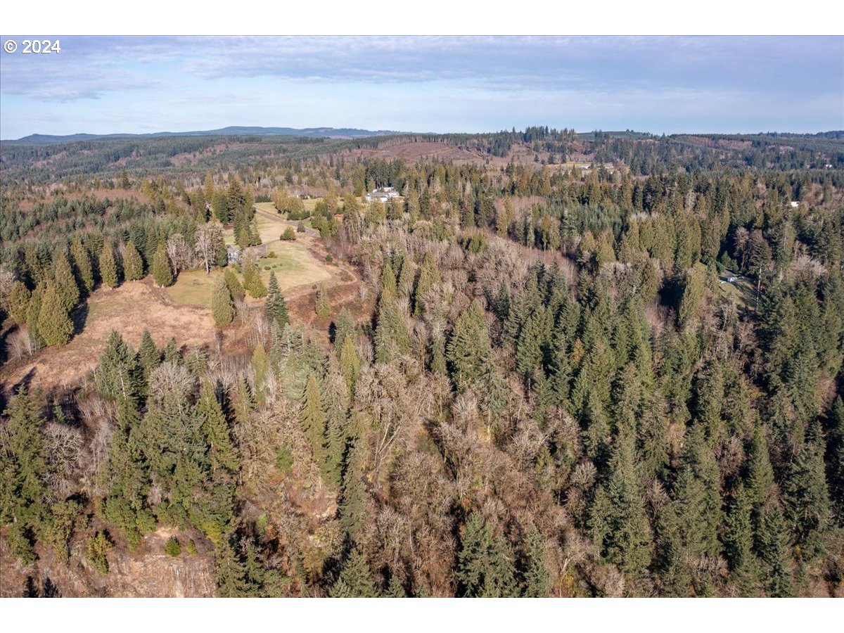 145 Newt Estates Road Longview, WA 98632 - Photo 6 of 27