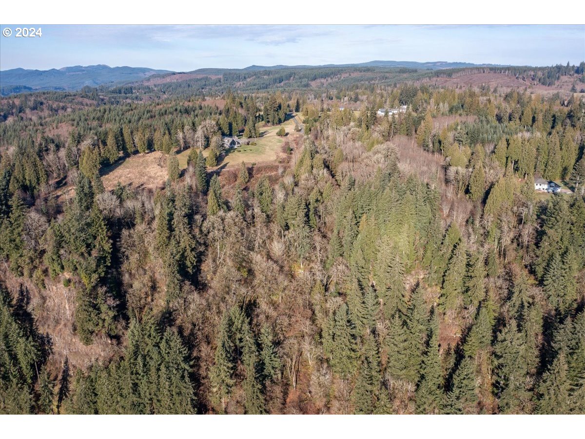 145 Newt Estates Road Longview, WA 98632 - Photo 7 of 27